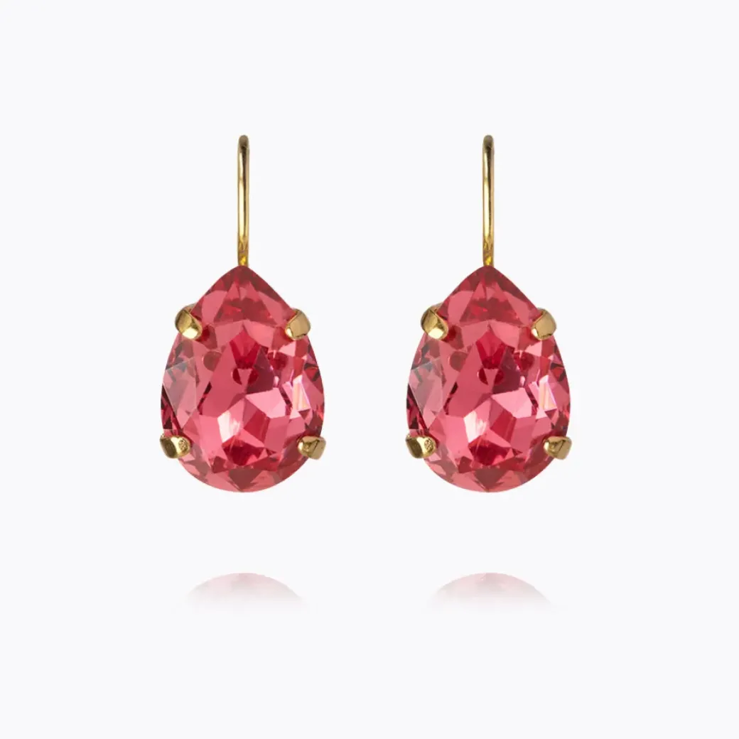 Mini Drop Clasp Earrings