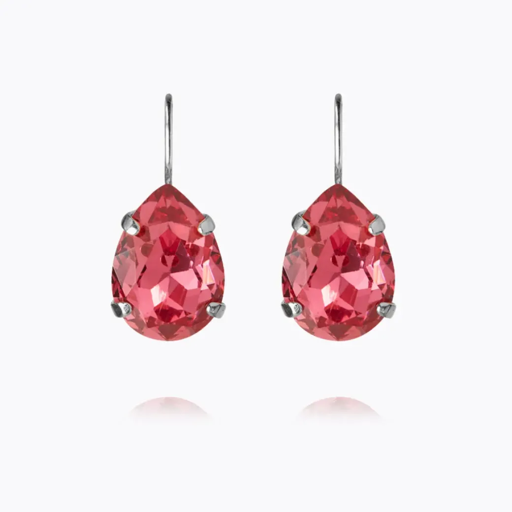 Mini Drop Clasp Earrings