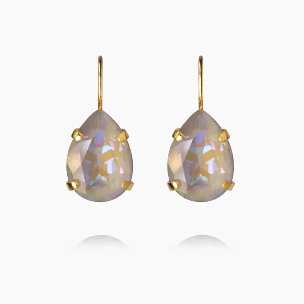 Mini Drop Clasp Earrings