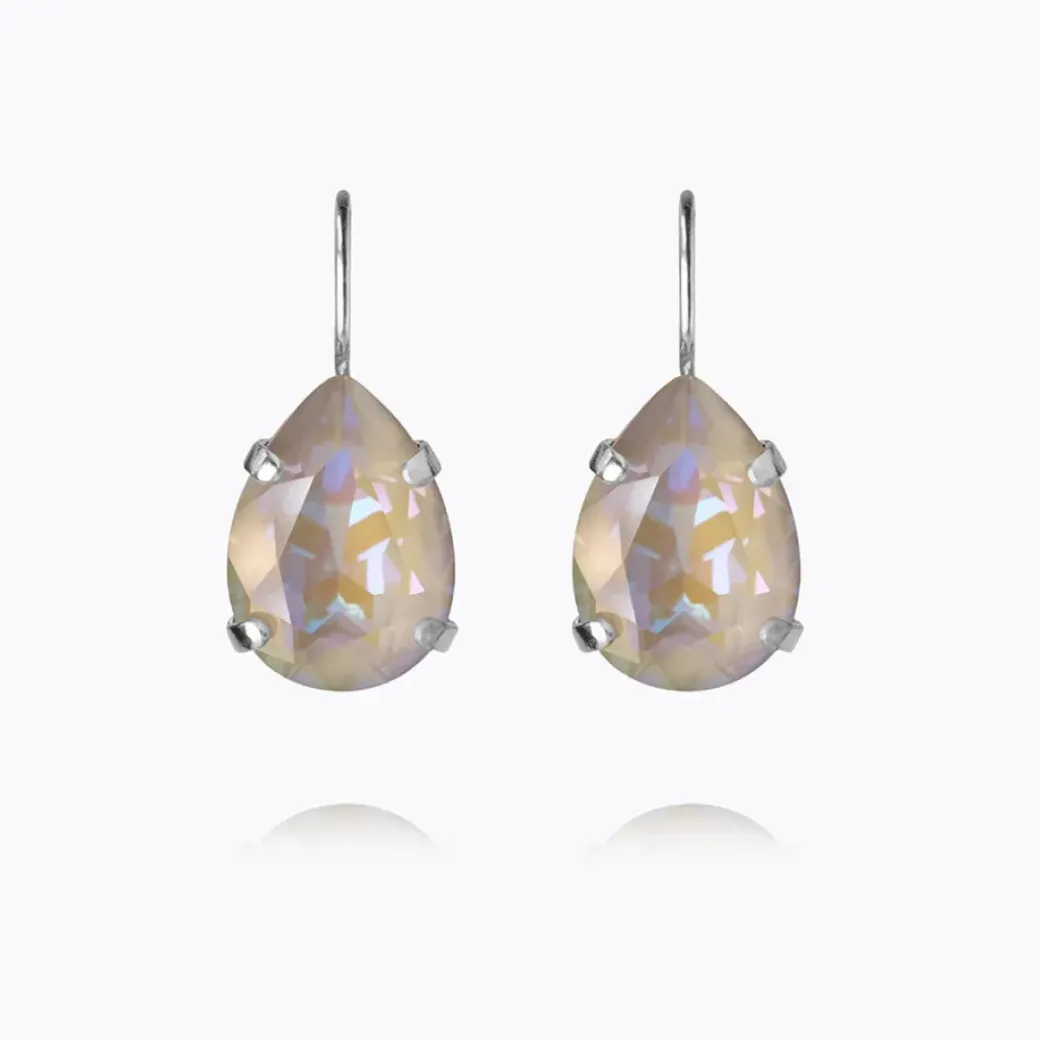 Mini Drop Clasp Earrings