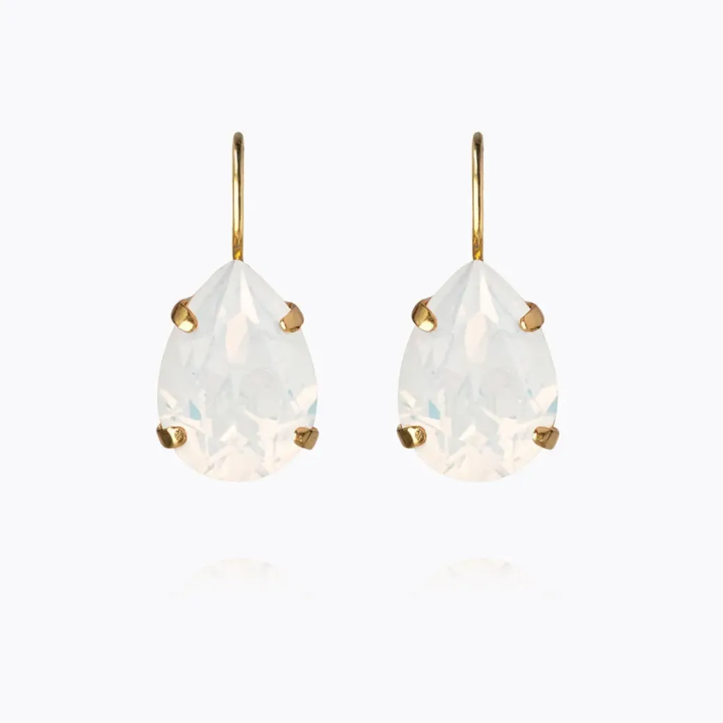 Mini Drop Clasp Earrings
