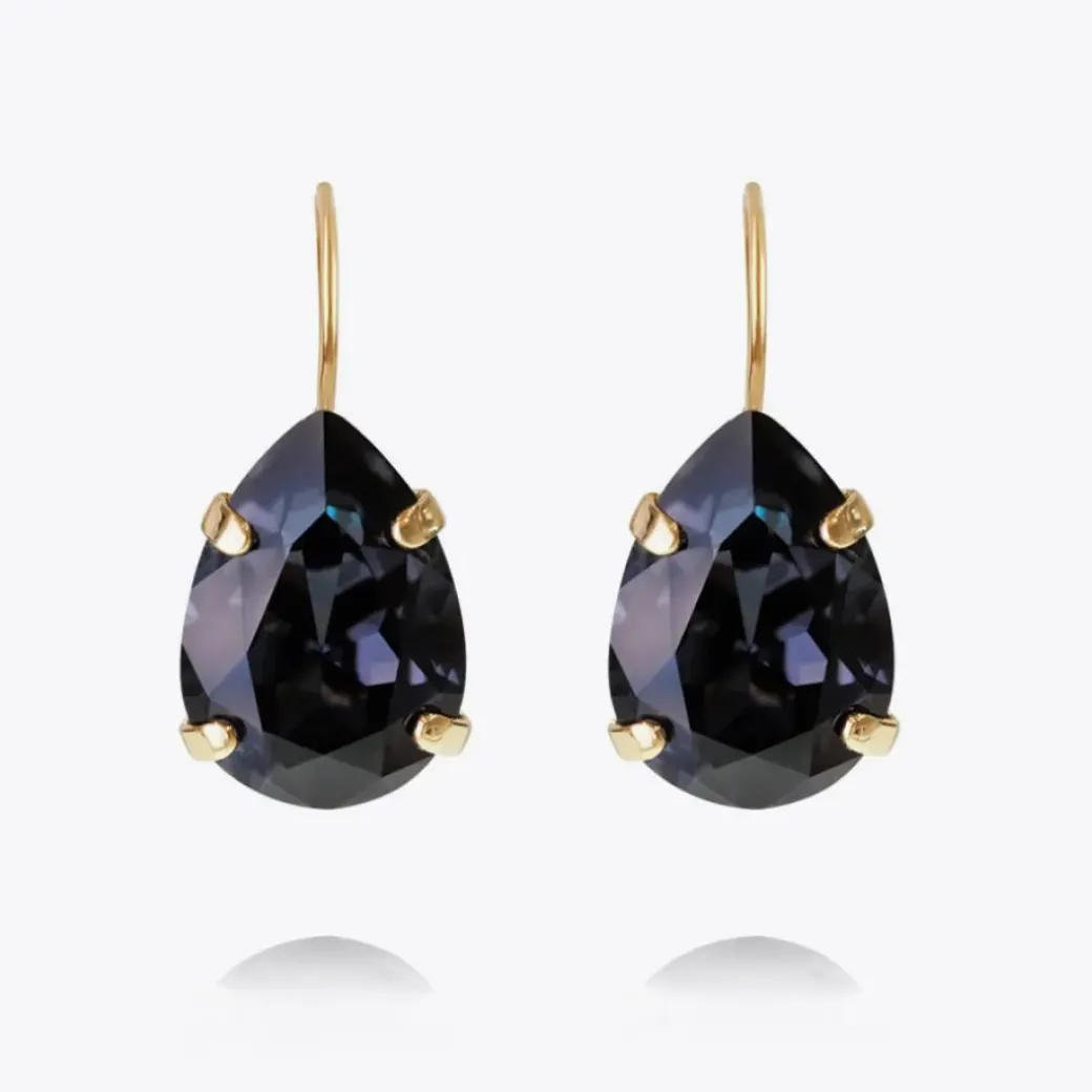 Mini Drop Clasp Earrings