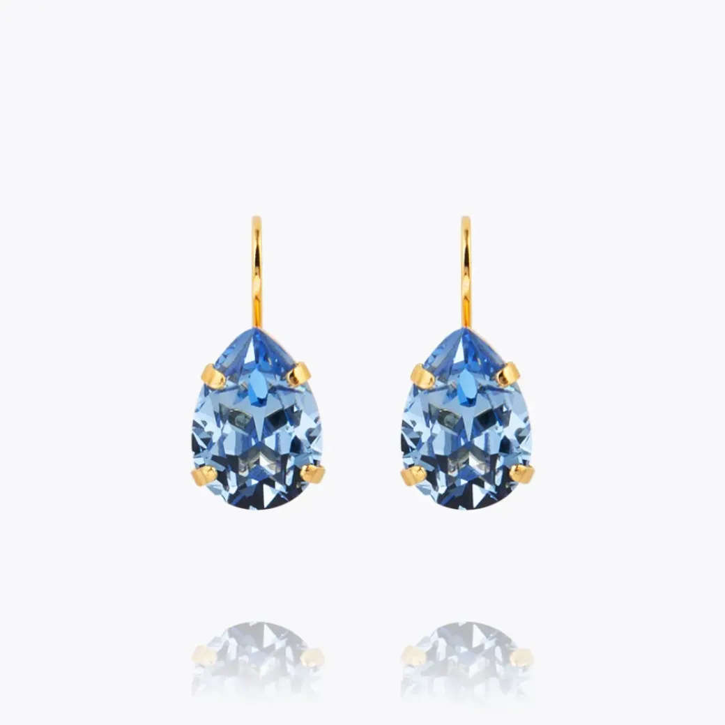 Mini Drop Clasp Earrings