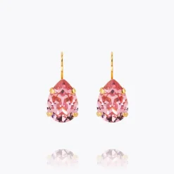 Mini Drop Clasp Earrings
