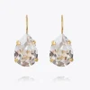 Mini Drop Clasp Earrings