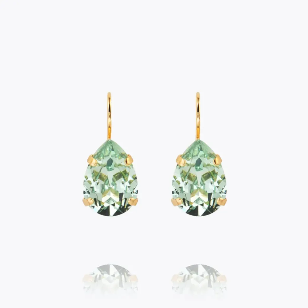 Mini Drop Clasp Earrings