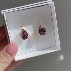 Mini Drop Clasp Earrings
