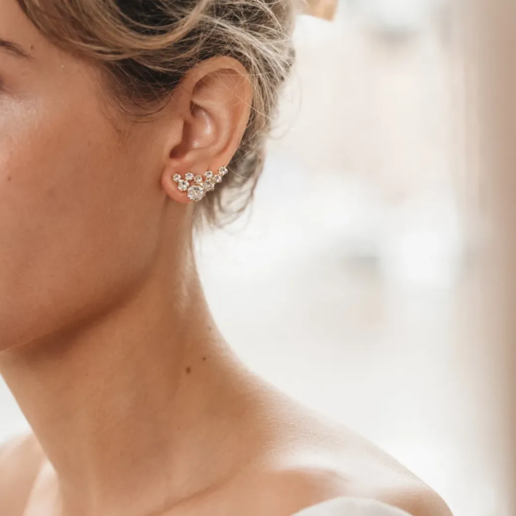 Stardust Earrings/Crystal
